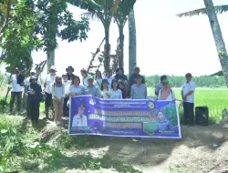 Menangkis Dampak El Nino Melalui Aksi Gerdal yang Dilaksanakan Oleh Pemkab Boltim