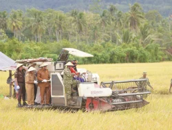 Ketahanan Pangan Bolmong TNI: Sinergi Panen Raya Dumoga