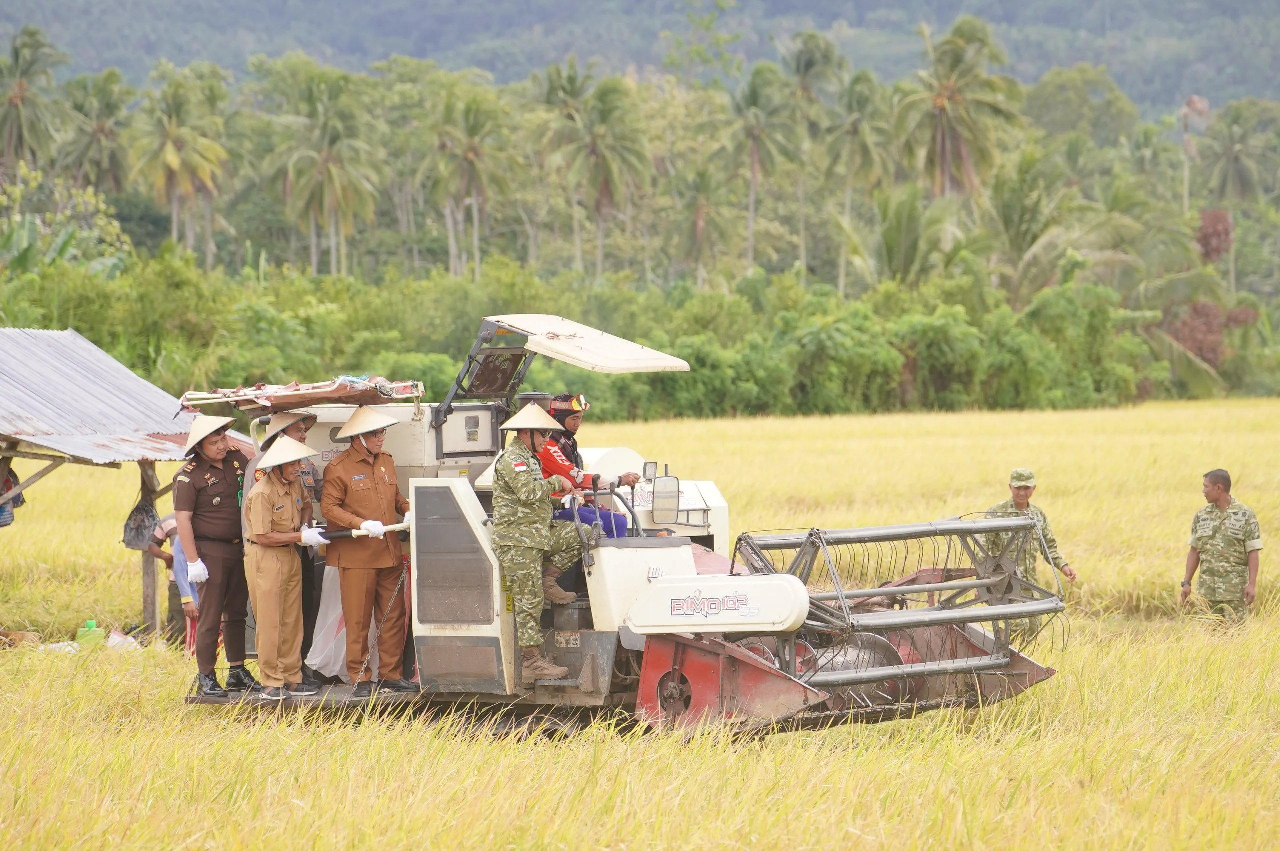 Pangdam XIII/Merdeka dan Pemkab Bolmong menggelar panen raya di Dumoga Tenggara untuk perkuat ketahanan pangan nasional. # Ketahanan Pangan Bolmong TNI